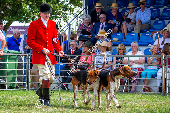 Festival of Hunting