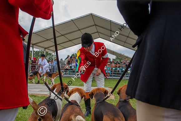 Festival of Hunting