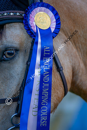 Science Supplements All England Jumping Championships