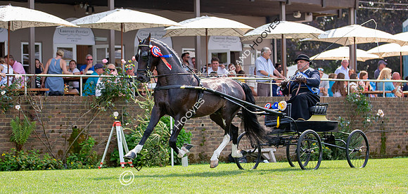 The Prenetics Royal International Horse Show