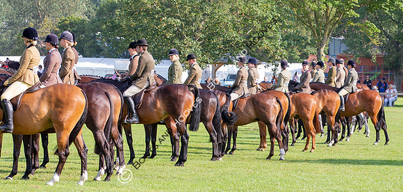 The Prenetics Royal International Horse Show