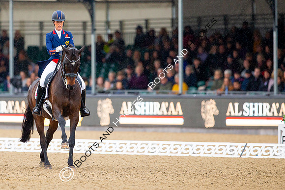 Royal Windsor Horse Show