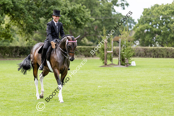 The Royal International Horse Show