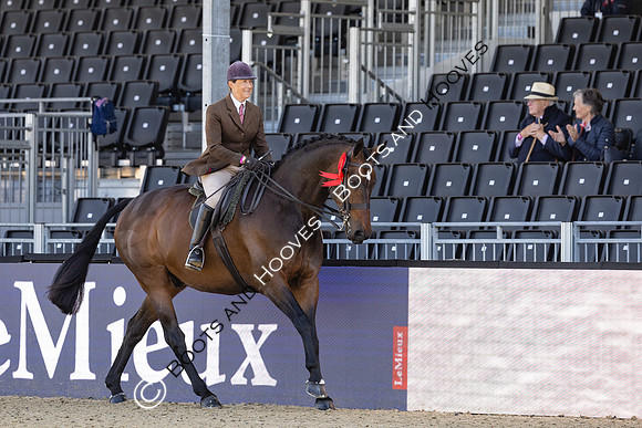 Royal Windsor Horse Show