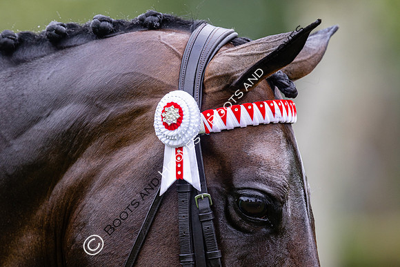 The Royal International Horse Show