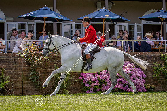 The AGRIA Royal International Horse Show