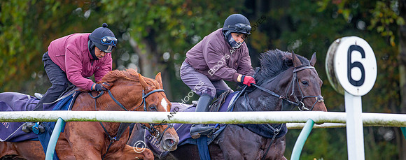 Newmarket