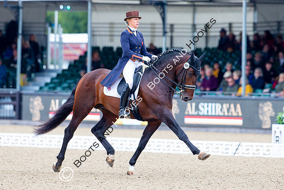 Royal Windsor Horse Show