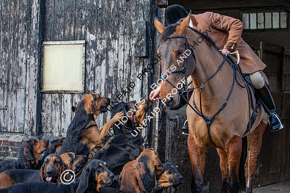Coakham Bloodhounds