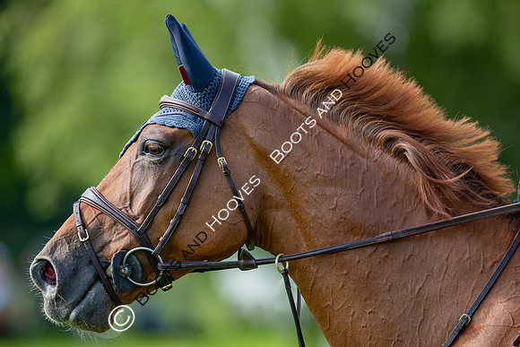 The Prenetics Royal International Horse Show