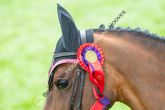 Science Supplements All England Jumping Championships