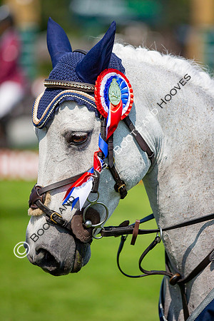 The Prenetics Royal International Horse Show