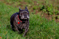 Otis & Olive