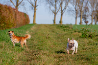 Otis & Olive