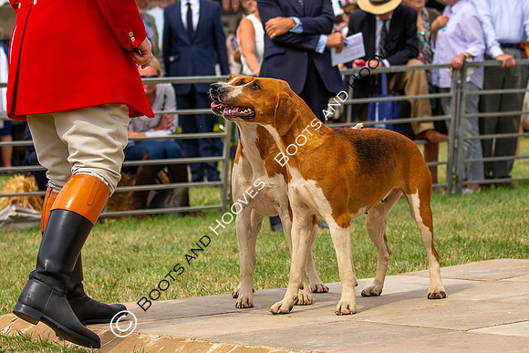 Festival of Hunting
