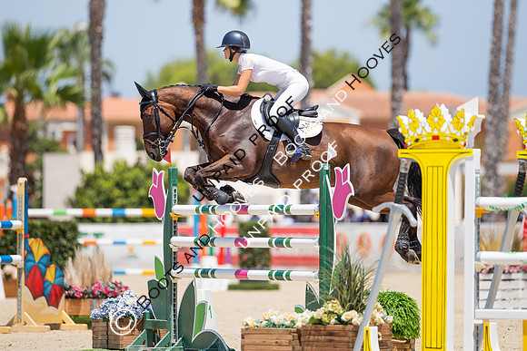 FEI Junior European Championship Young Riders, Juniors & Childre