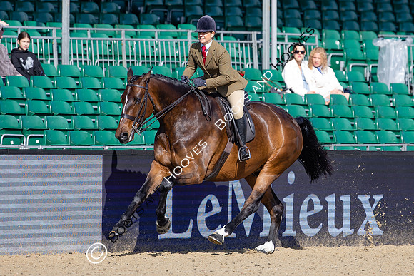 Royal Windsor Horse Show