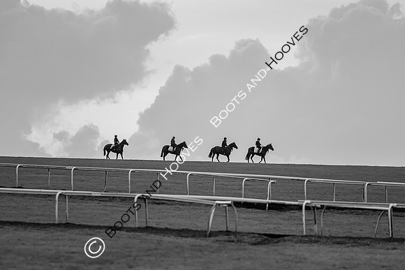 Newmarket