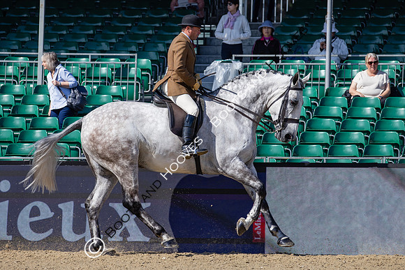Royal Windsor Horse Show