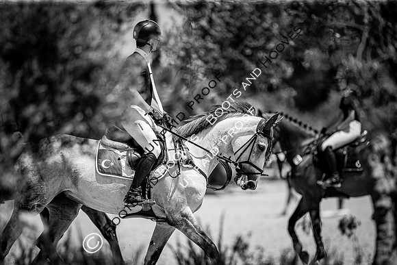 FEI Junior European Championship Young Riders, Juniors & Childre