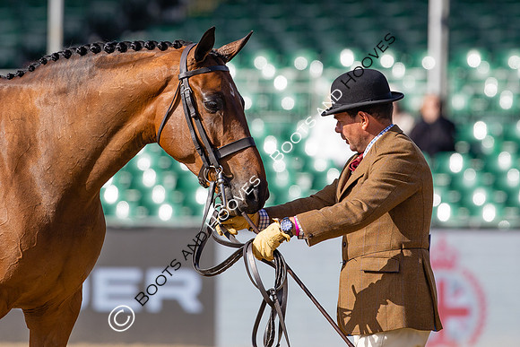 Royal Windsor Horse Show