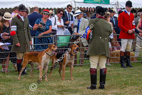 Festival of Hunting