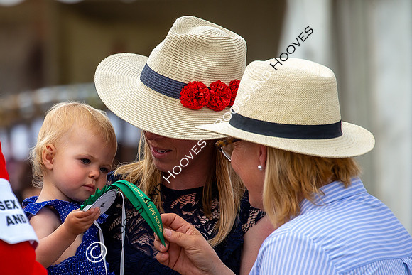 Festival of Hunting