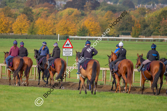 Newmarket
