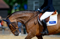 The Al Shira'aa Jumping Championships