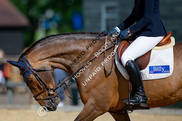The Al Shira'aa Jumping Championships