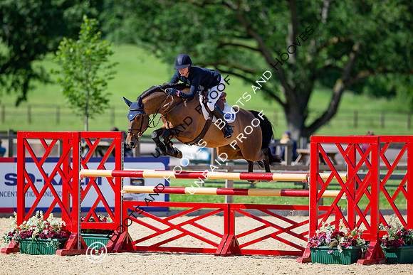 The Al Shira'aa Jumping Championships