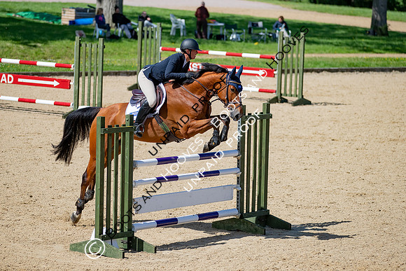 The Al Shira'aa Jumping Championships