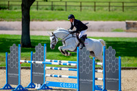 The Al Shira'aa Jumping Championships