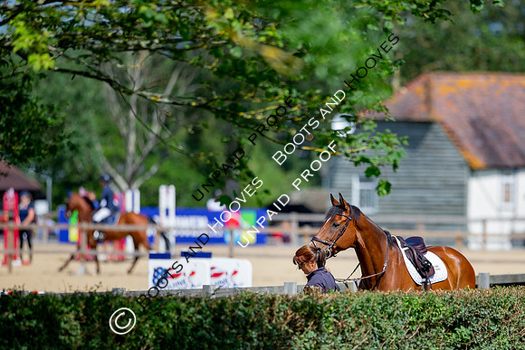 The Al Shira'aa Jumping Championships