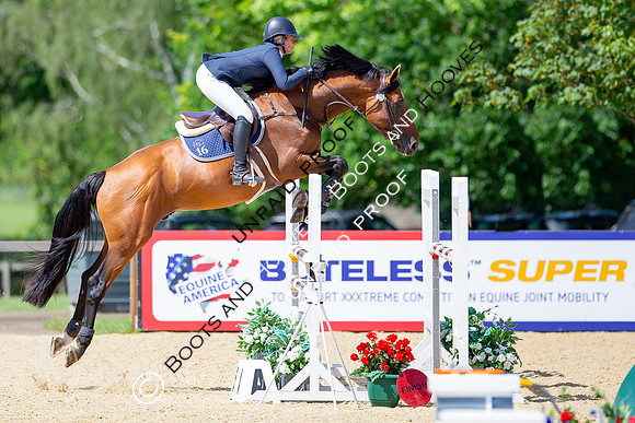 The Al Shira'aa Jumping Championships