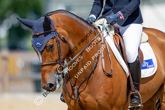 The Al Shira'aa Jumping Championships