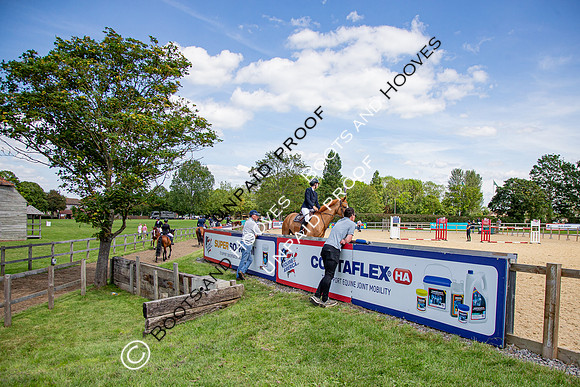 The Al Shira'aa Jumping Championships