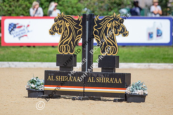 The Al Shira'aa Jumping Championships