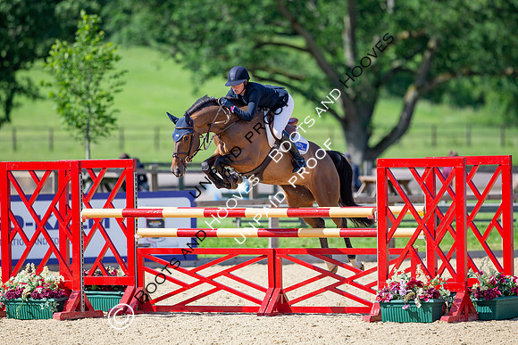 The Al Shira'aa Jumping Championships