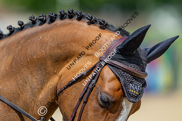 The Al Shira'aa Jumping Championships