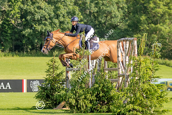 The Al Shira'aa Jumping Championships
