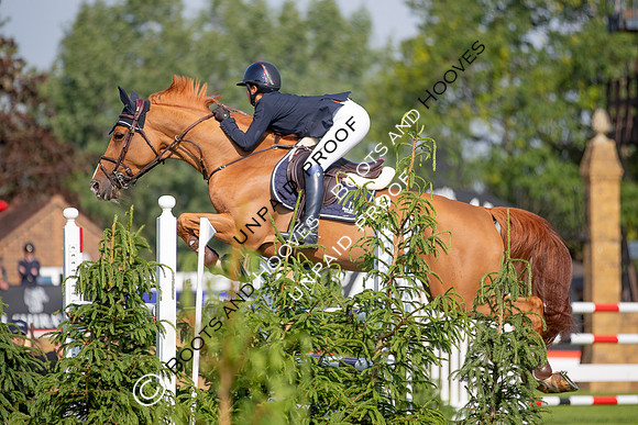 The Al Shira'aa Jumping Championships