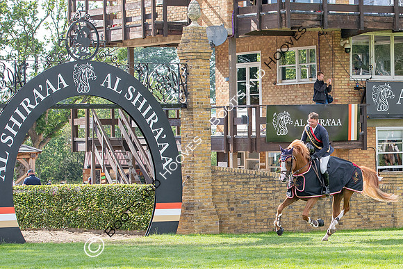 The Al Shira'aa Jumping Championships