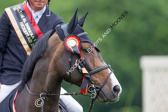 The Al Shira'aa Jumping Championships