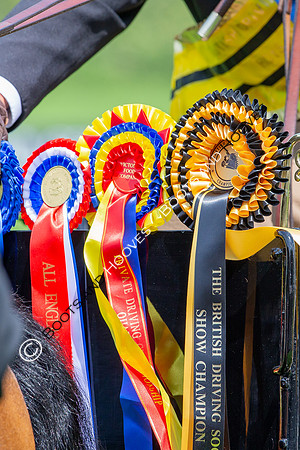 The Al Shira'aa Jumping Championships