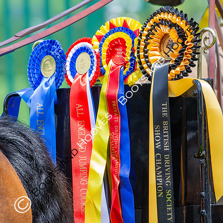 The Al Shira'aa Jumping Championships