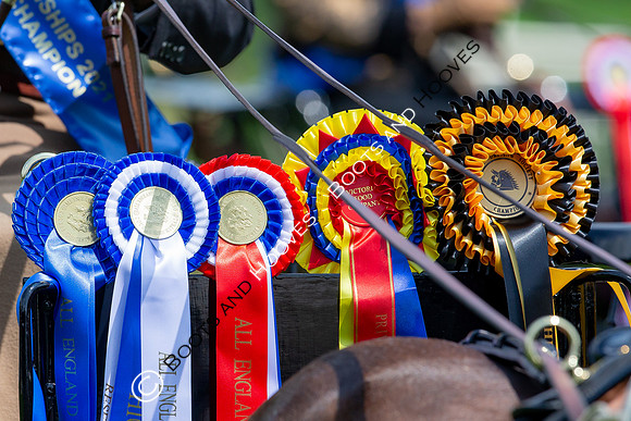 The Al Shira'aa Jumping Championships