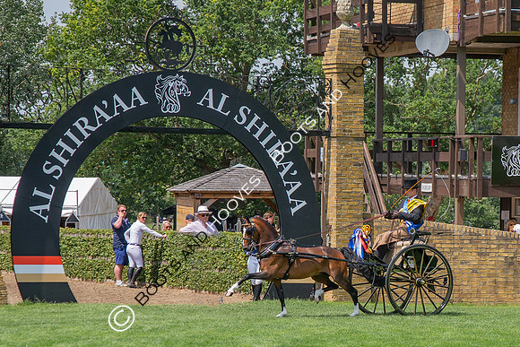 The Al Shira'aa Jumping Championships