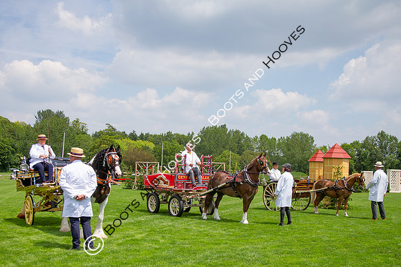 The Al Shira'aa Jumping Championships