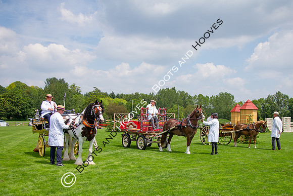 The Al Shira'aa Jumping Championships